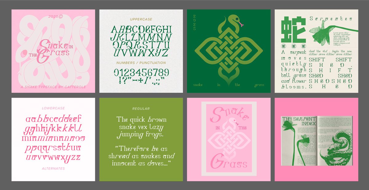 🥕.exe tweet media