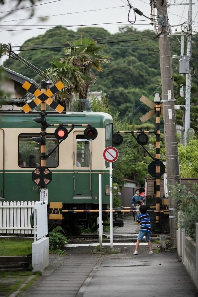 WanderLens tweet media