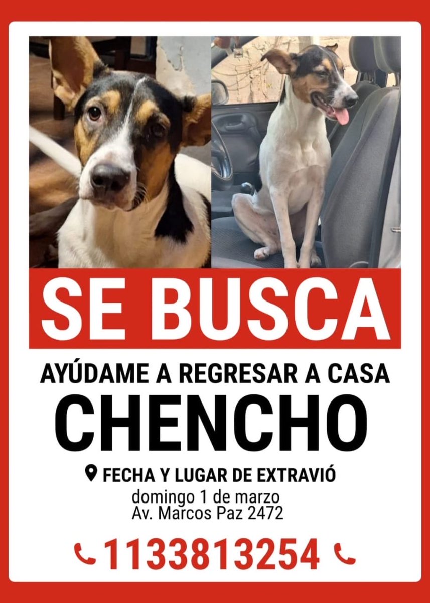 CasifuiRaul's tweet photo. Se perdió el domingo y lo están esperando https://t.co/CqSLtSdsvj