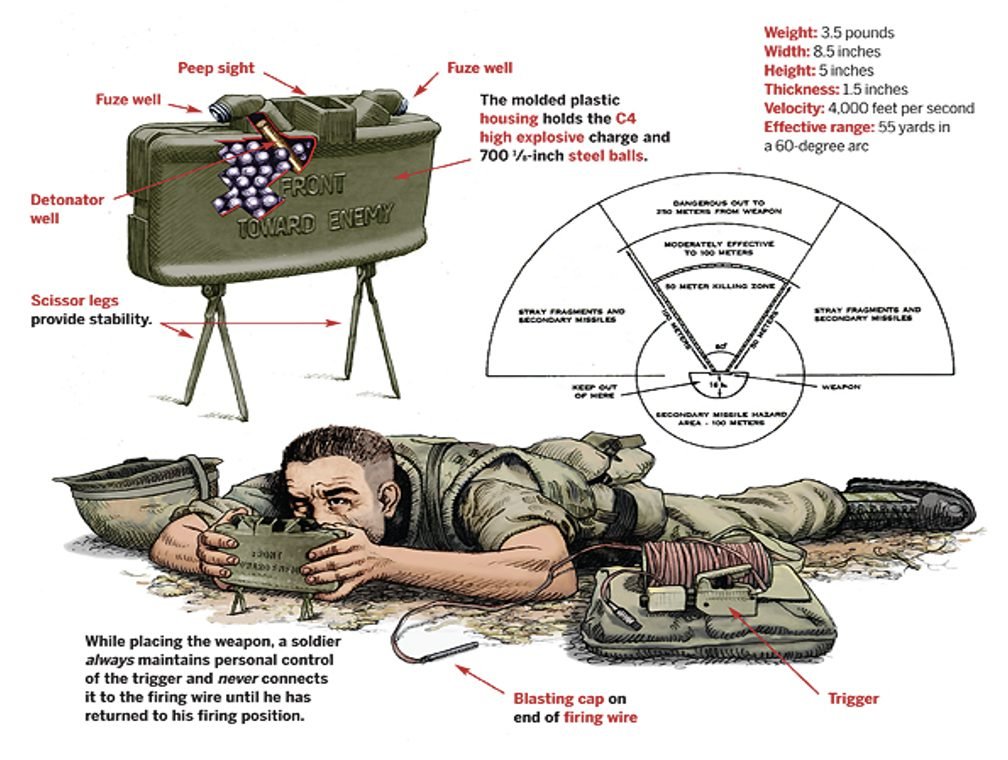 Borjano 🇵🇱 tweet media