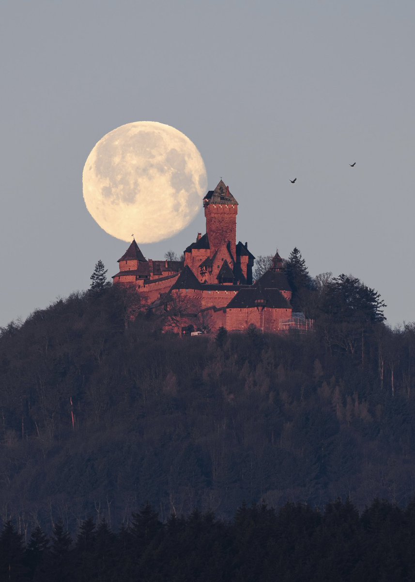 Cédrιc tweet media