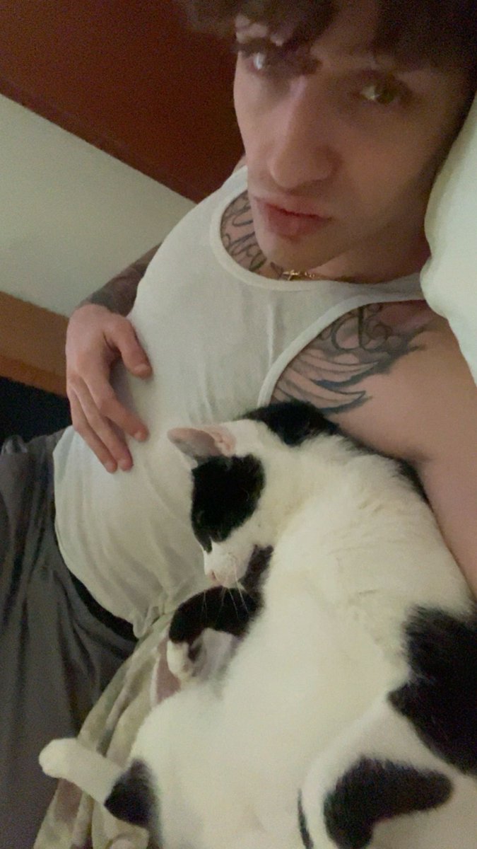 Tonyxl00's tweet photo. A volte vorrei essere un gatto https://t.co/PQ7DBtZbSS