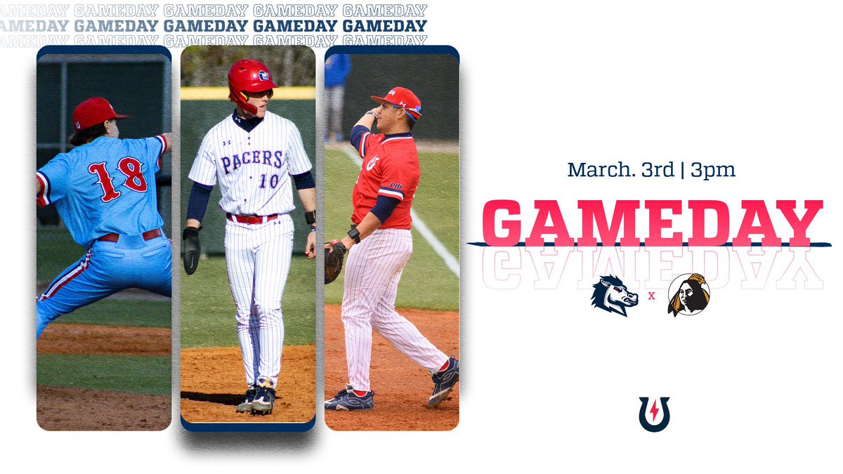 USCA Baseball tweet media