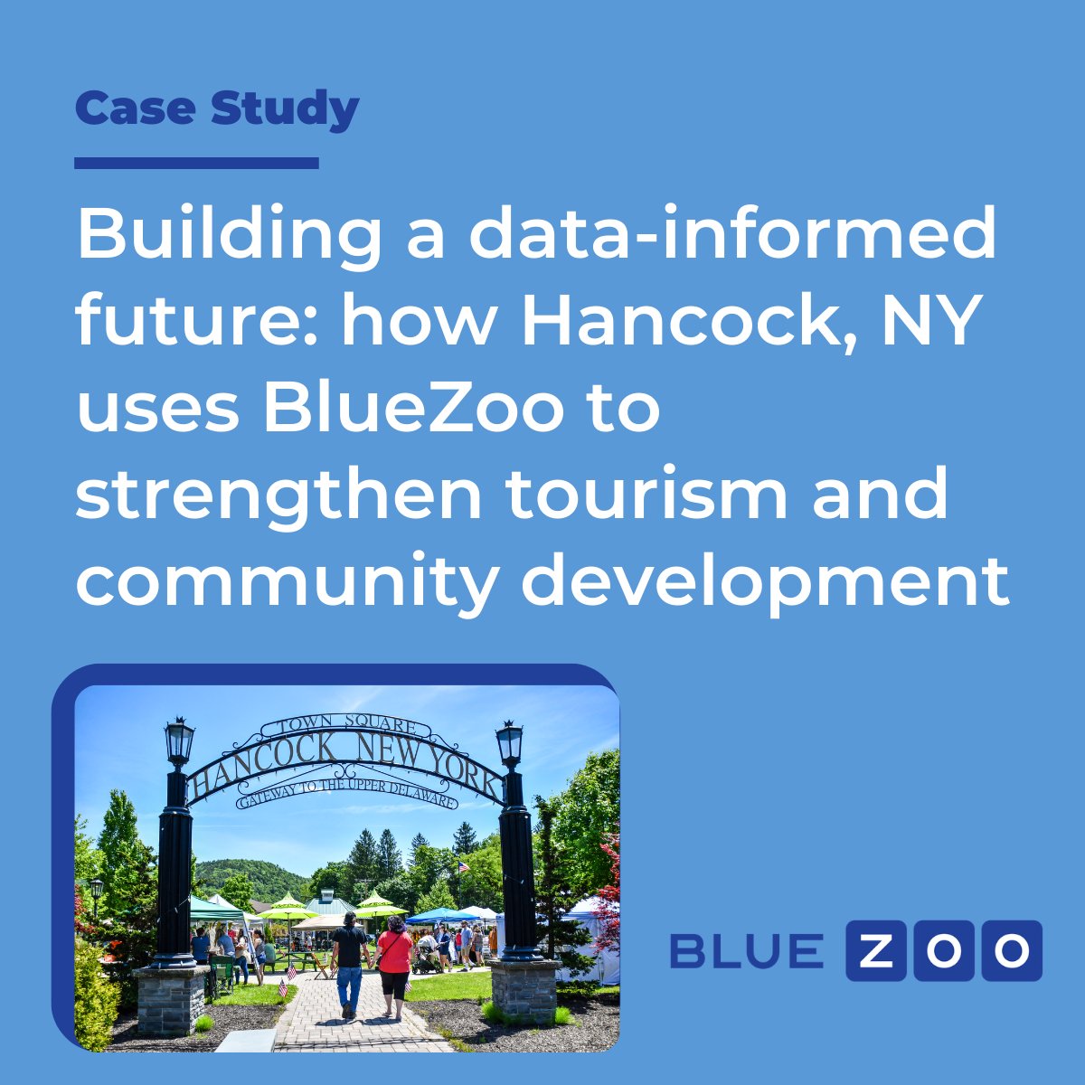 bluezoo-inc tweet media