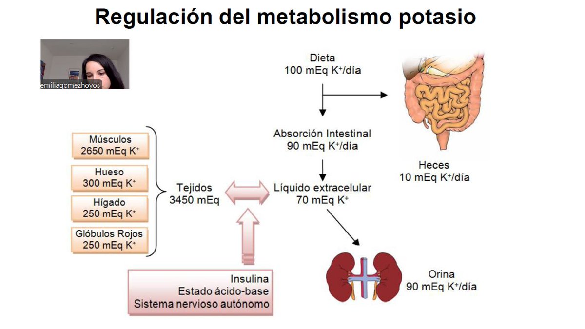 Instituto de Endocrinología y Nutrición Valladolid tweet media