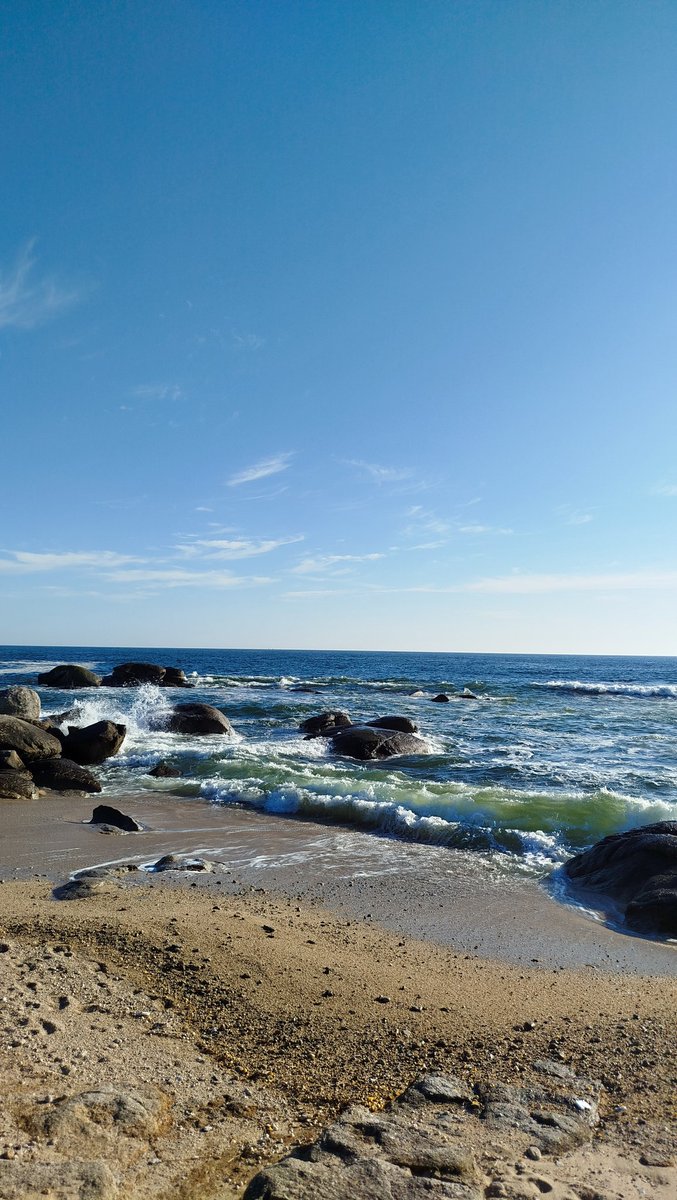 🌤️☀️Oursin29☀️🌤️ tweet media