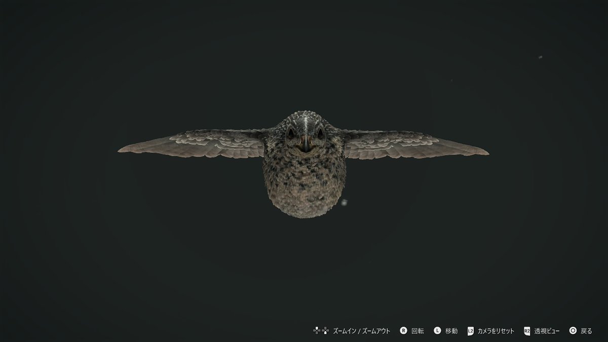 オーストラリアの💎🐤　#theHunter