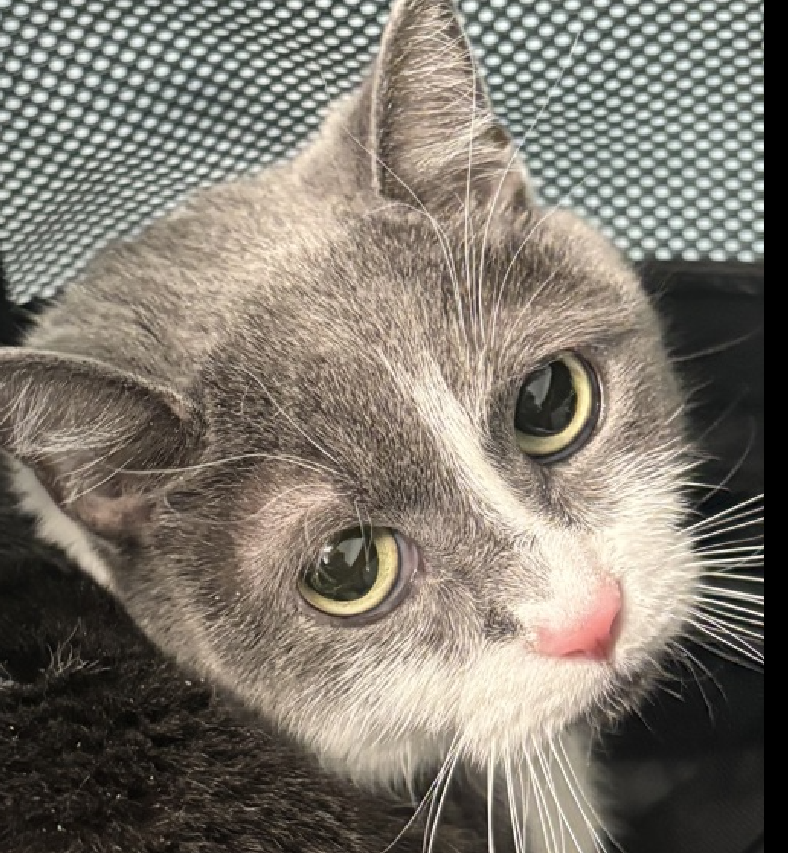 Jack5928 tweet media