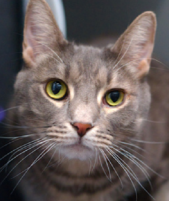 Jack5928 tweet media