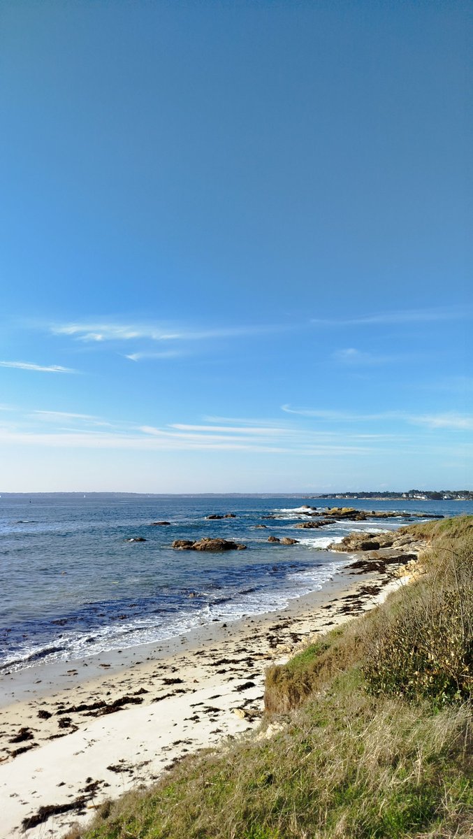 🌤️☀️Oursin29☀️🌤️ tweet media