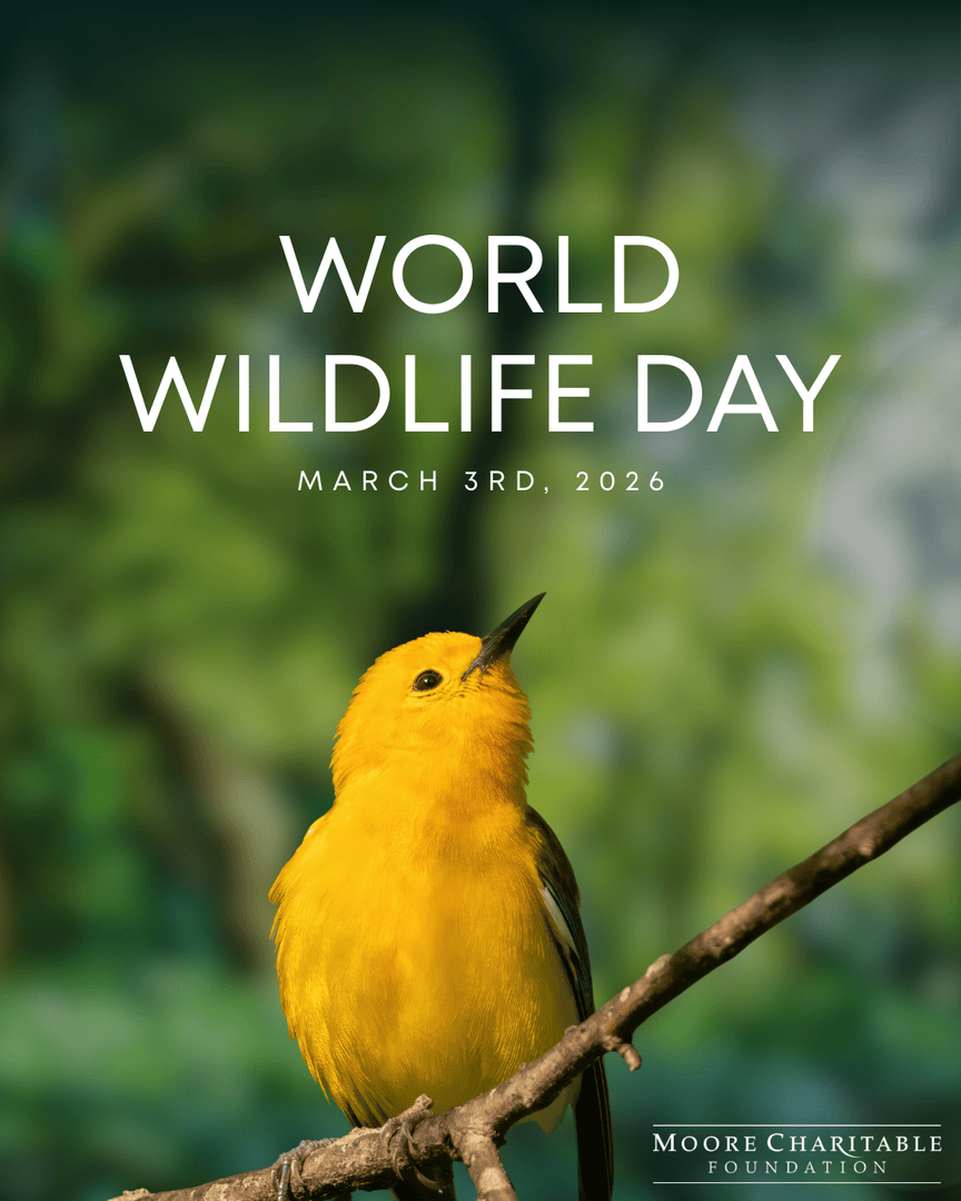 Moore Charitable tweet media