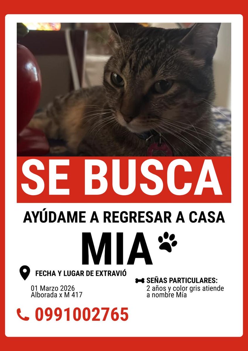 #PERDIDA #GUAYAQUIL
Nombre: #MIA
Fecha: 01/03/26
Sector: Norte, Alborada 10ma. etapa, Minimarket todo el 100
Sexo: Hembra
Raza: Mestiza
Obsv.: Romana, collar rosado, gordita, esterilizada
Contacto: 0991002765
¡Ayúdala a volver con su familia!
#AlertaMePerdí