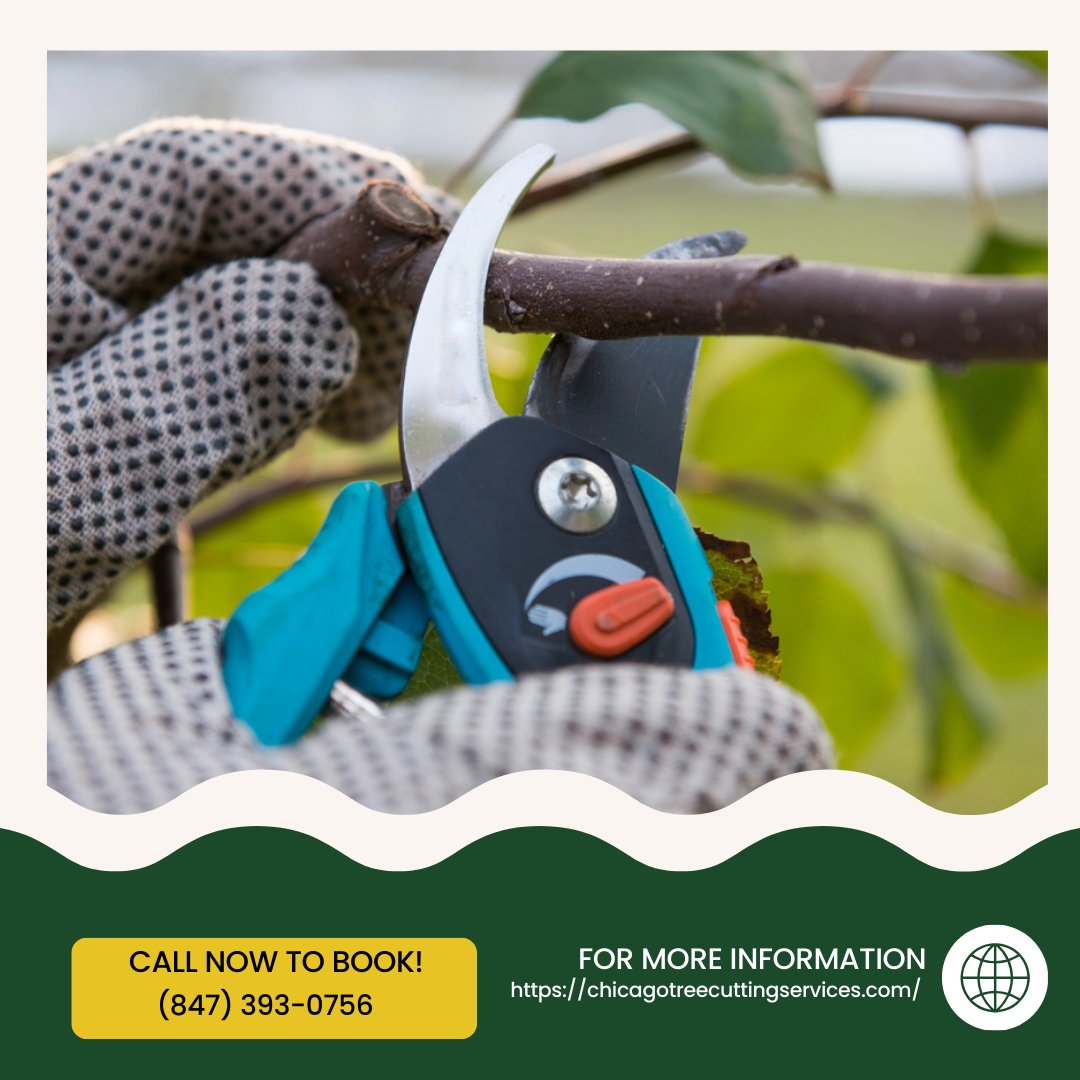 Tiny Tim Tree Service (@tinytimtreeserv) / Posts / X