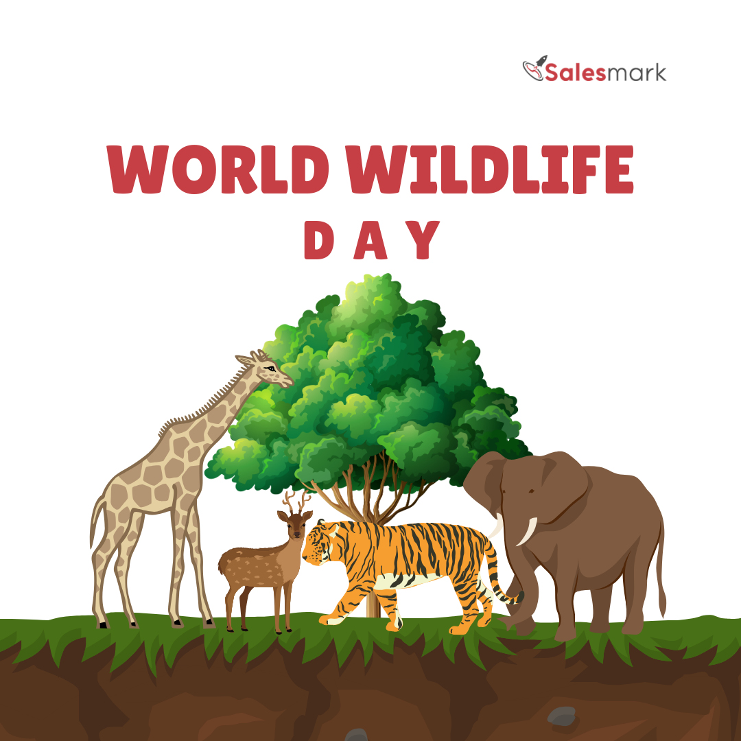 TheSalesMark tweet media