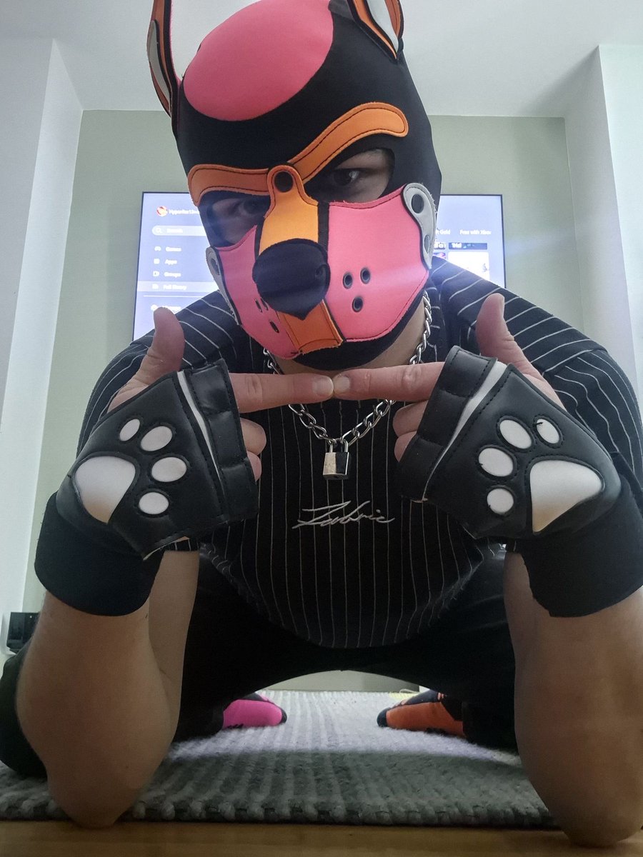 Hyper 🔜 Puppy UK elections tweet media