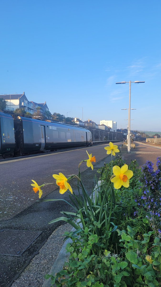 The Railway Duck tweet media