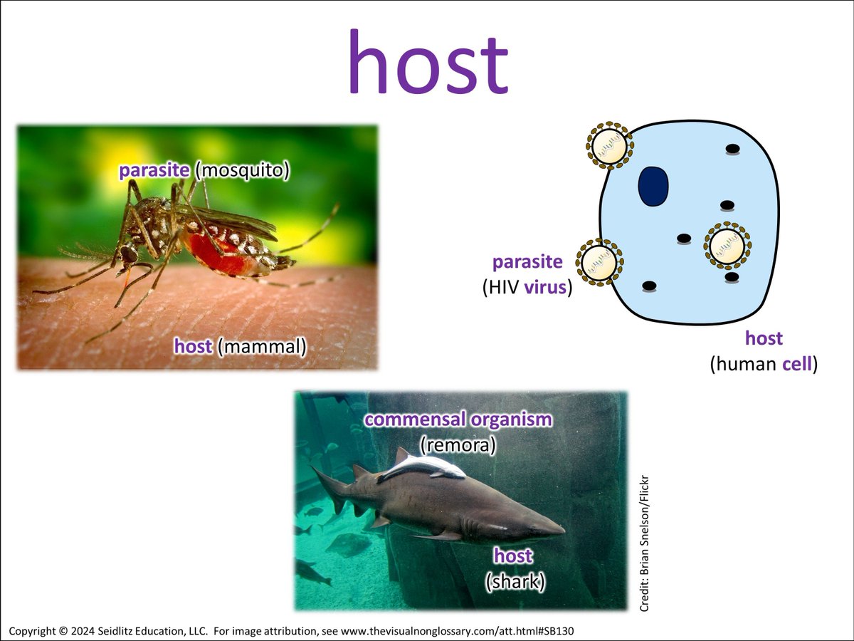 The Visual Non-Glossary tweet media