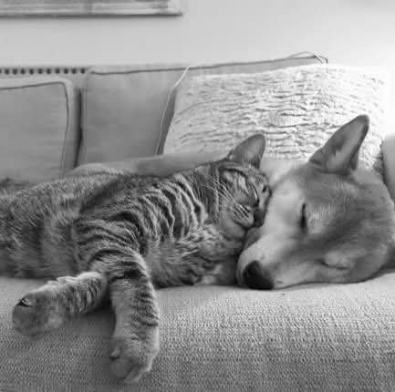 Alex (@polaleks) on Twitter photo 