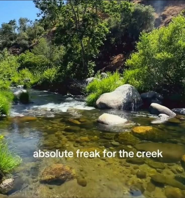 star ♡ ૮ ◞ ﻌ ◟ ა tweet media