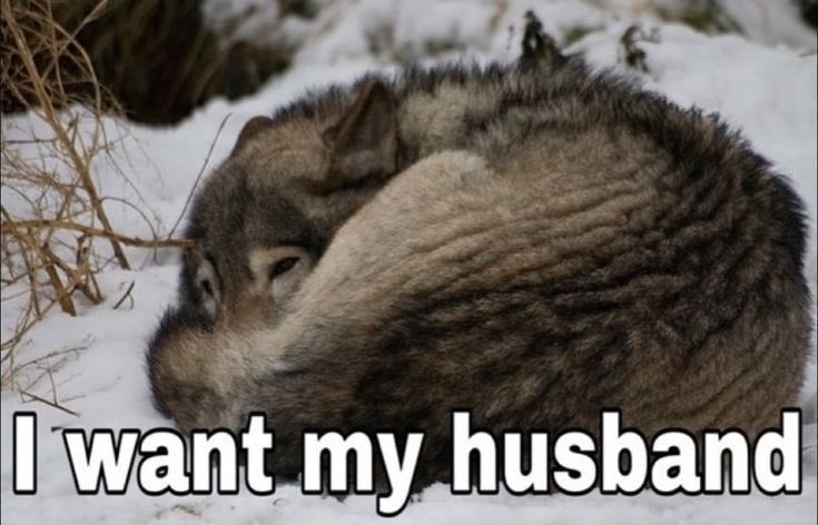 star ♡ ૮ ◞ ﻌ ◟ ა tweet media