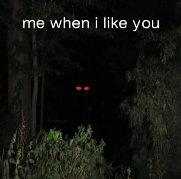 star ♡ ૮ ◞ ﻌ ◟ ა tweet media