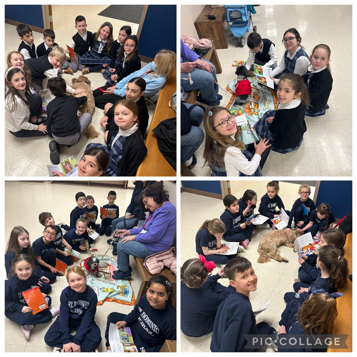 StDomSchool's tweet photo. Big smiles and wagging tails this morning as our amazing 2nd graders read to the pups! 📚🐶 https://t.co/TLoTVbvFE4
