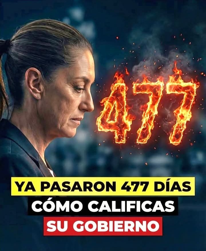 Fer GP tweet media