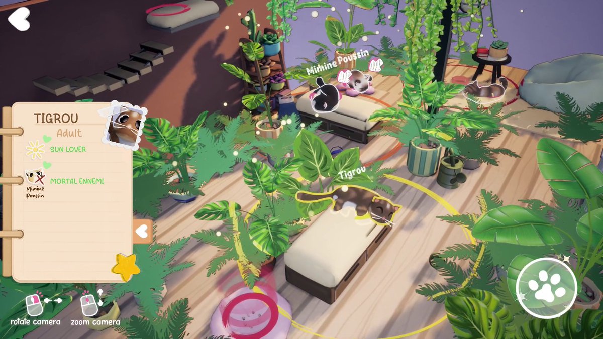 Kitty Haven | Mabouya tweet media