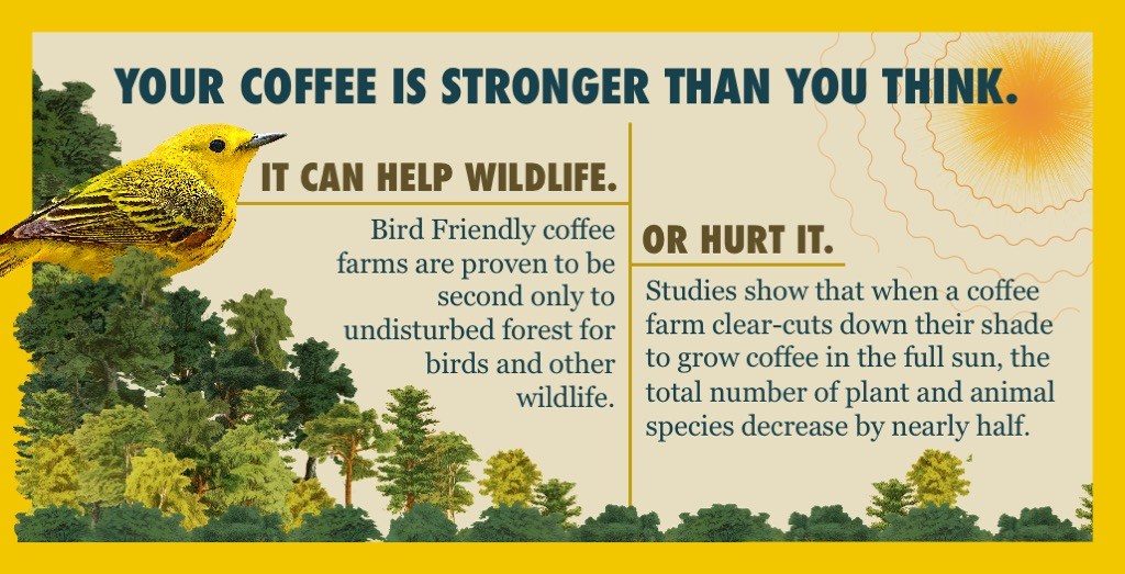 Smithsonian Migratory Bird Center tweet media