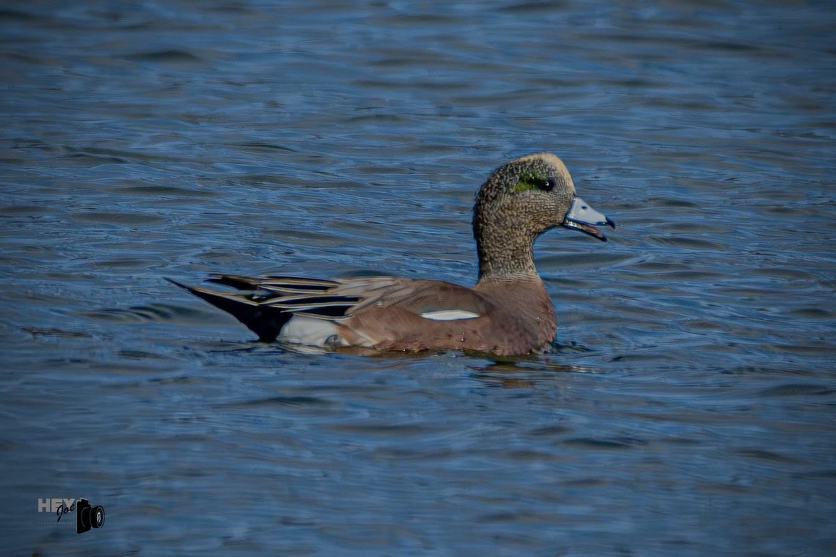 Today In Nature tweet media