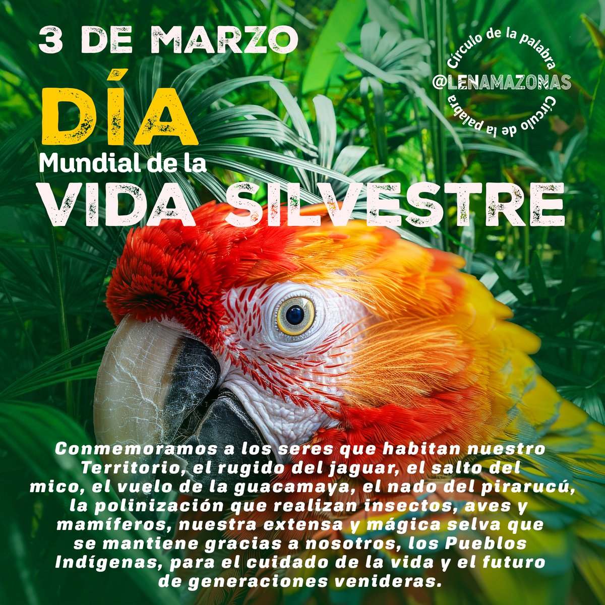 Lena Estrada Añokazi tweet media