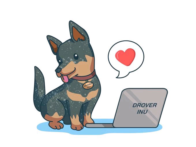 DROVER INU tweet media
