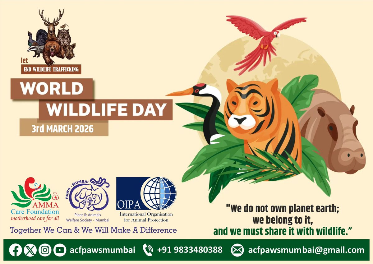 ACFIndiaOrg's tweet photo. 03 March 2026 Tuesday 
--
Happy World Wildlife Day
--
Team Sunish &amp; Nisha Subramanian Kunju 
Team OIPA,  ACF &amp; PAWS-Mumbai 
Team NSK Enterprises 
Team Parivartan Pratishthan
--
#NishaKunju #SunishKunju #OIPA #ACF #PAWSMumbai 
--
@sunishskunju @nishaskunju @OIPAInternation https://t.co/Tz2pf6TWGd