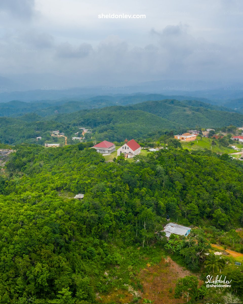 Sheldon Levene tweet media