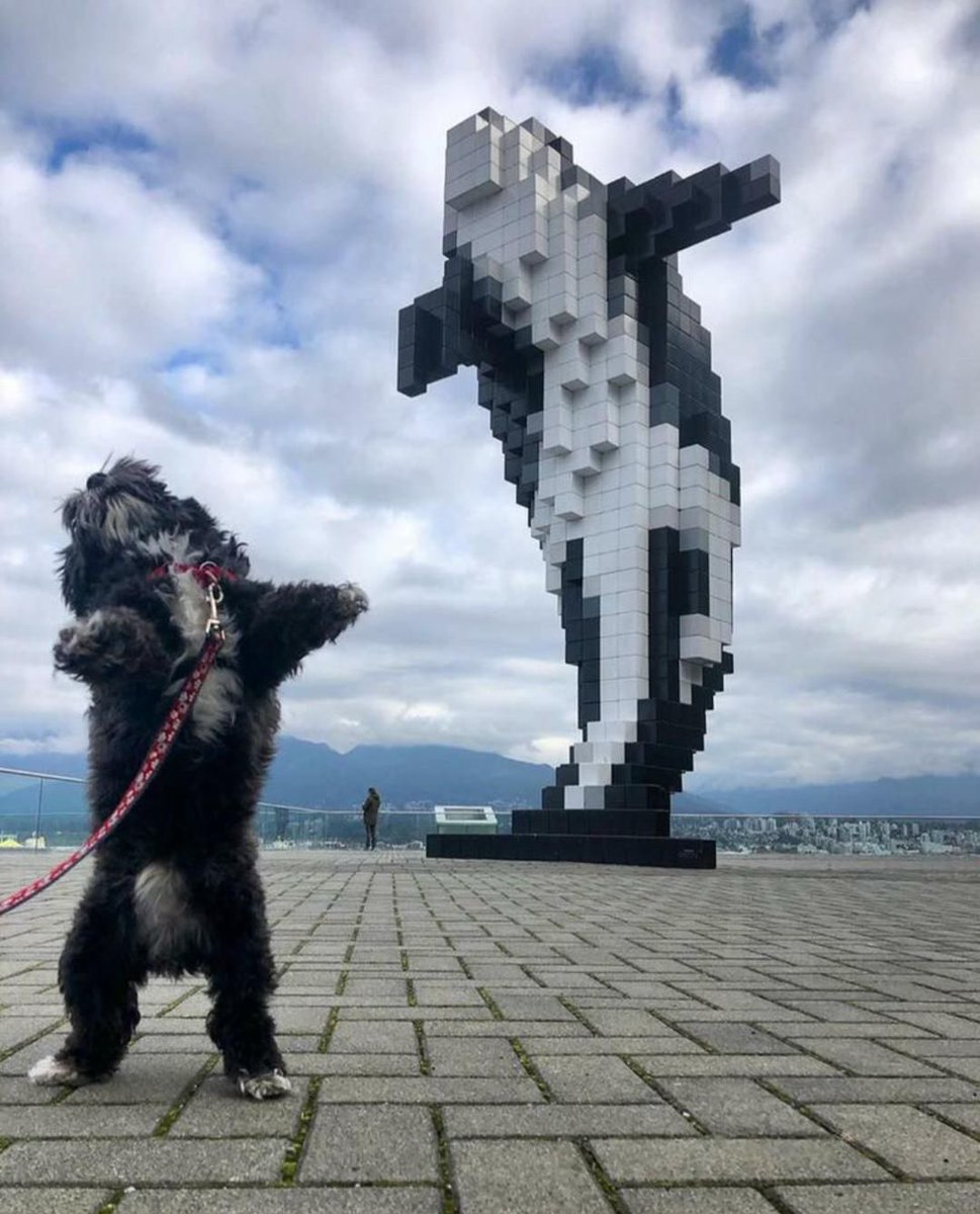 twaniimals's tweet photo. https://t.co/O4bQLsHdJT