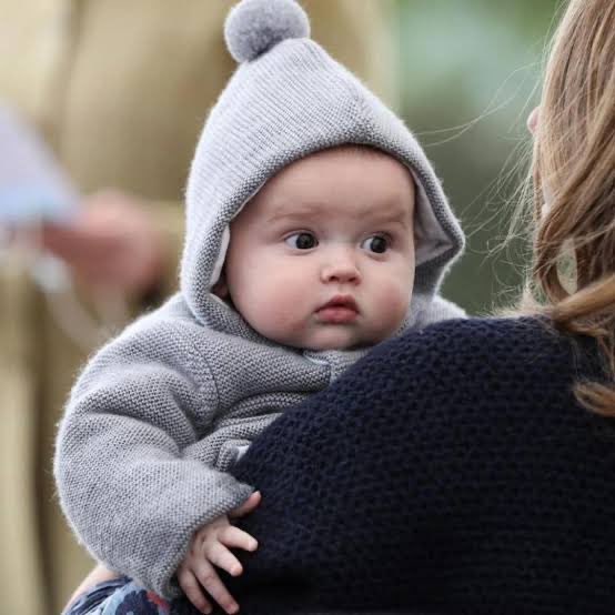 Dr. Calum Miller tweet media