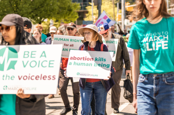 Pro-Life Flag Project tweet media