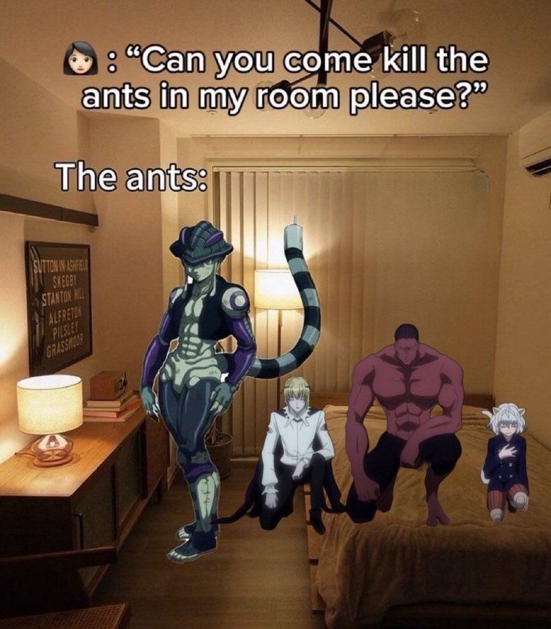 Hunter x Hunter Perfect Shots tweet media