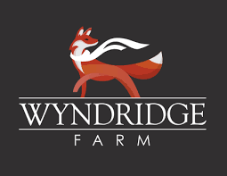 IrishgolfD's tweet photo. Wyndridge Farm has been published on 2k25. The plot is based on the area around Wyndridge Farm Brewery in Pennsylvania. The golf course has the feeling of a nice muni-style. While not very long, the elevation changes and the side hill lies will provide some challenges. https://t.co/Qez1xqat0w