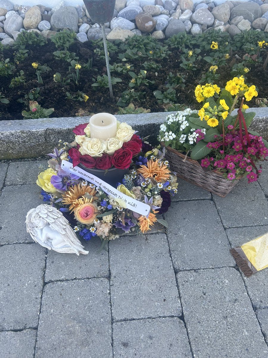 CScheiwiller's tweet photo. You became wings 🪽 I’m gonna miss you forever 💔✨ https://t.co/0FNlXw44EK