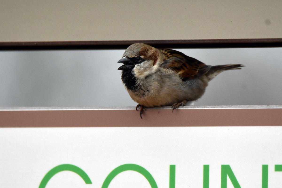 Today In Nature tweet media