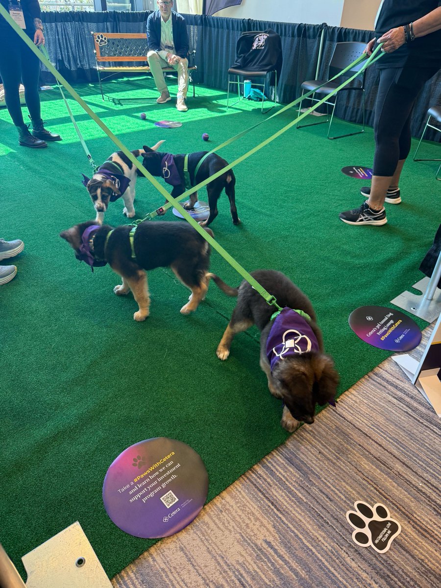 Asset-Map tweet media