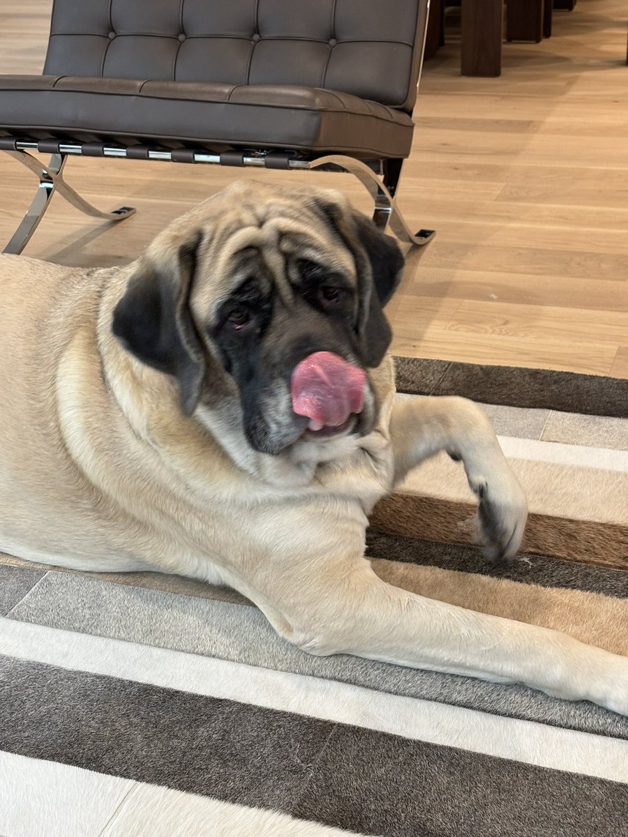 The Real Betty Ford (GR) & Big Girl Pearl (EM) tweet media