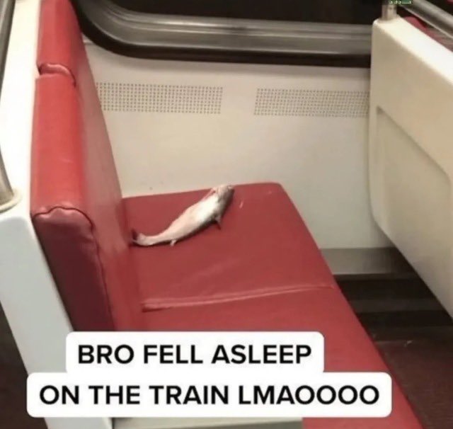 LeQueerious's tweet image. crossbow