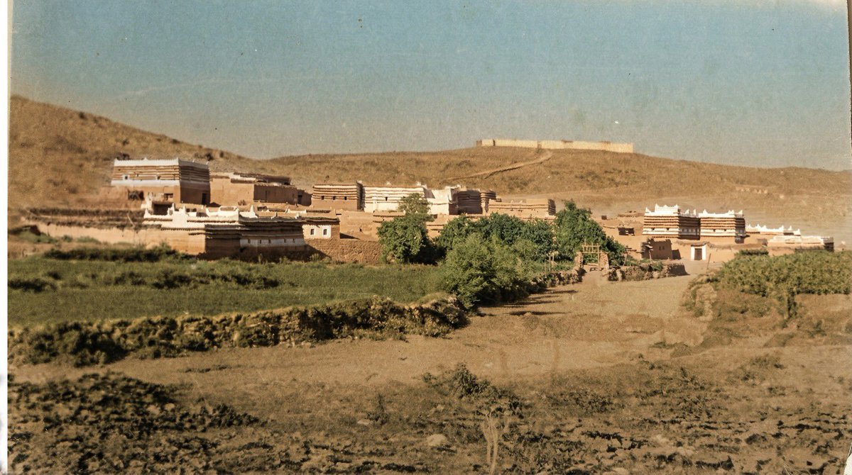 ابو ناصر tweet media