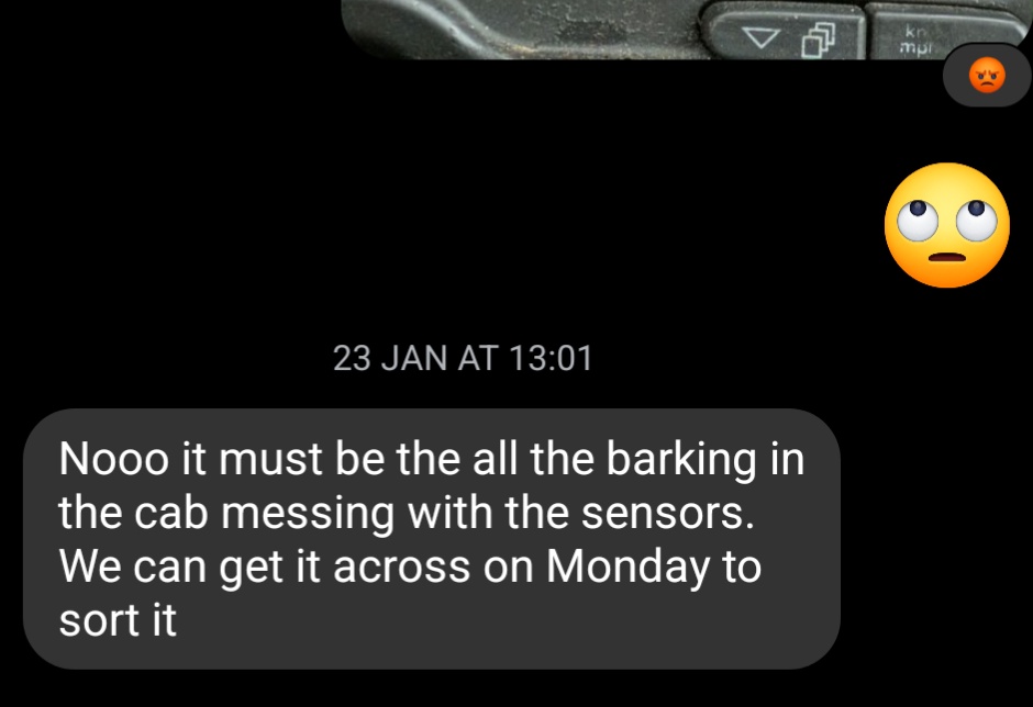 BlakeHusky🐾🦴 tweet media