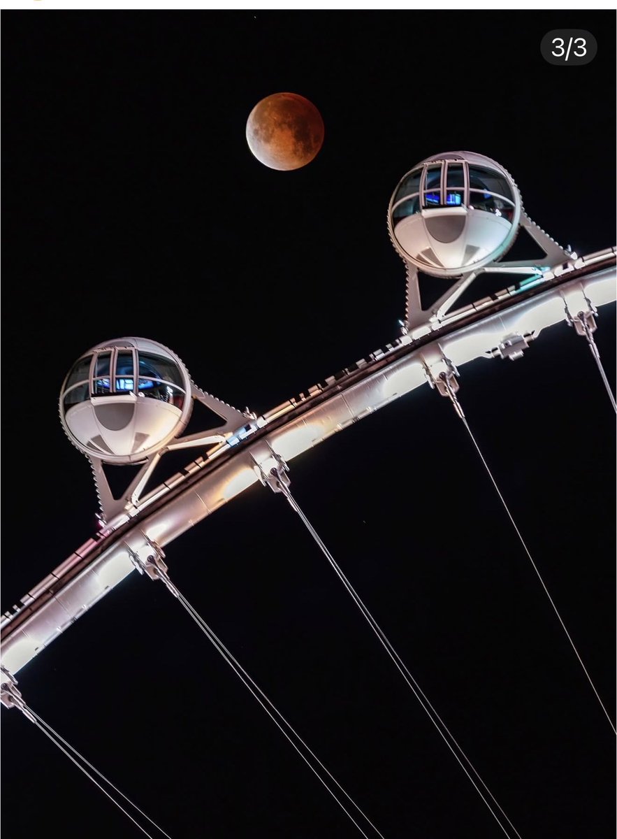 LesleyinVegas tweet media