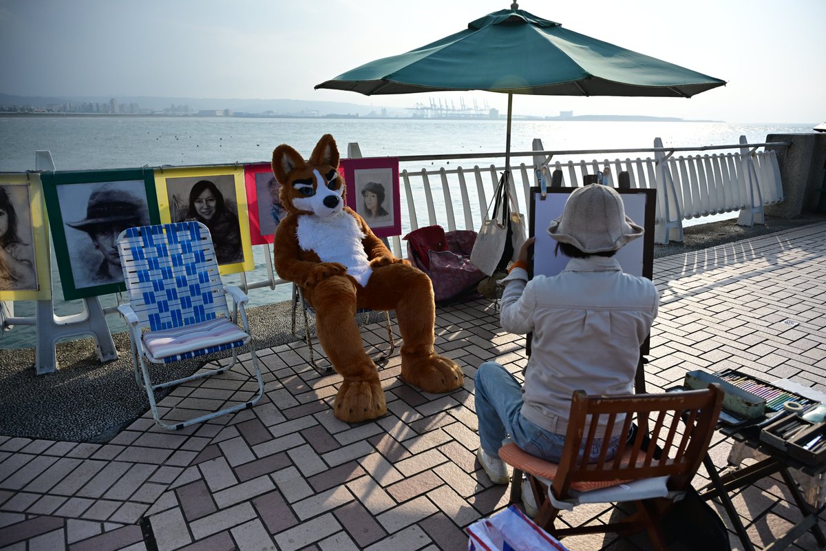 冬尾（ふゆび）🐶🐶🐱🐶🐶🦊 tweet media