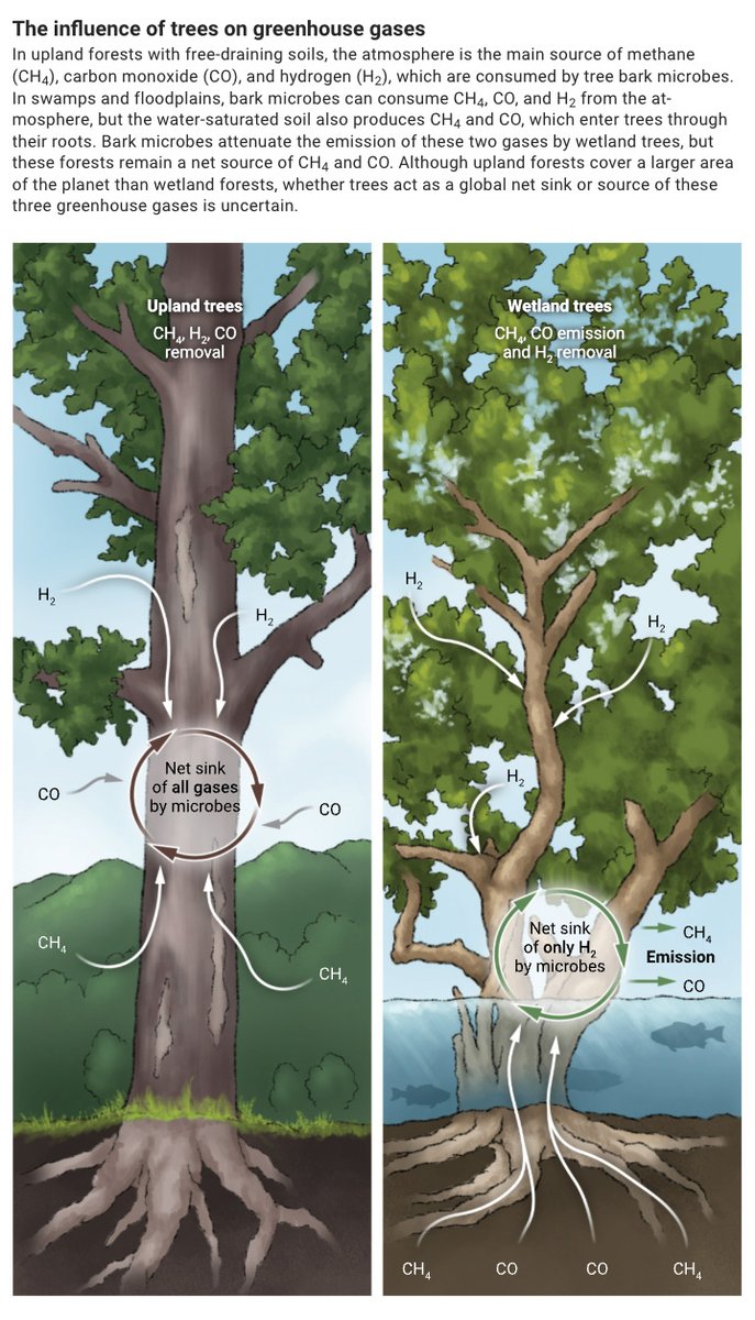 Science Magazine tweet media