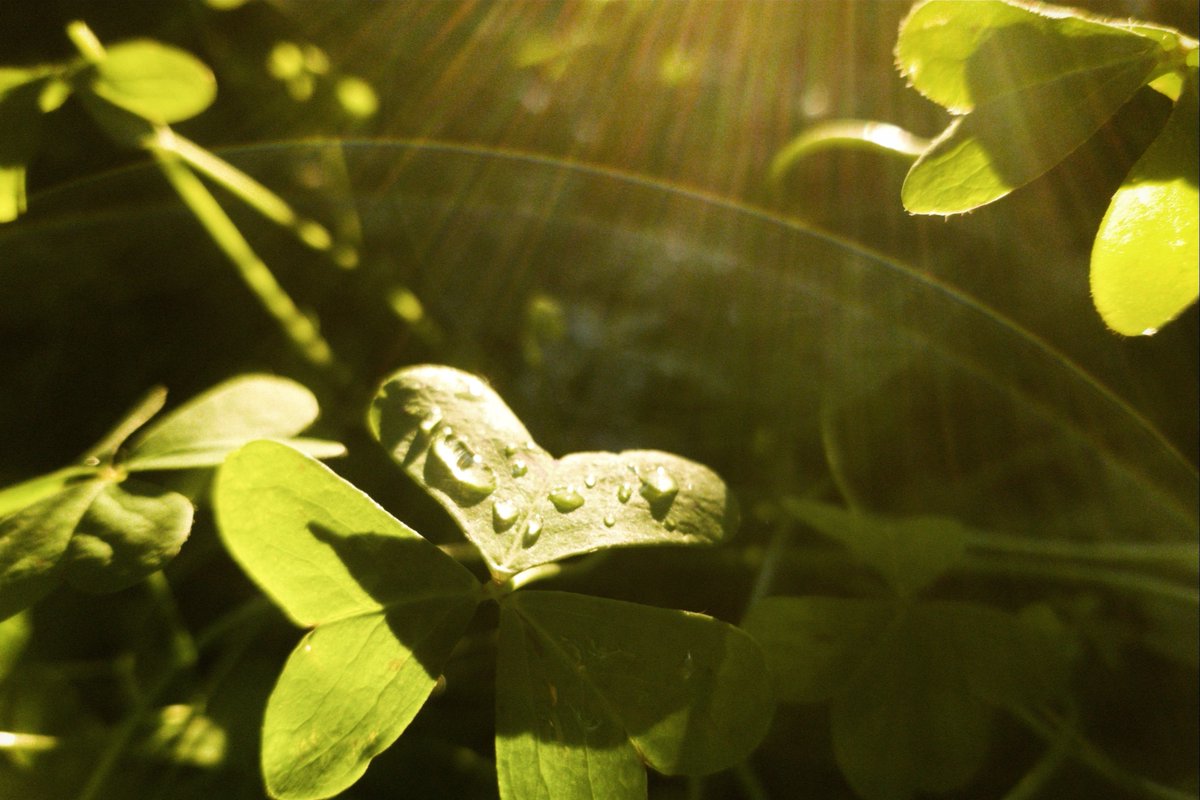 Resiliency & Justice Center tweet media